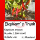 Elephant´s Trunk DER TOMATENFLÜSTERER