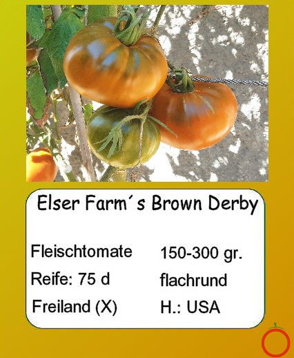 Elser Farm´s Brown Derby DER TOMATENFLÜSTERER