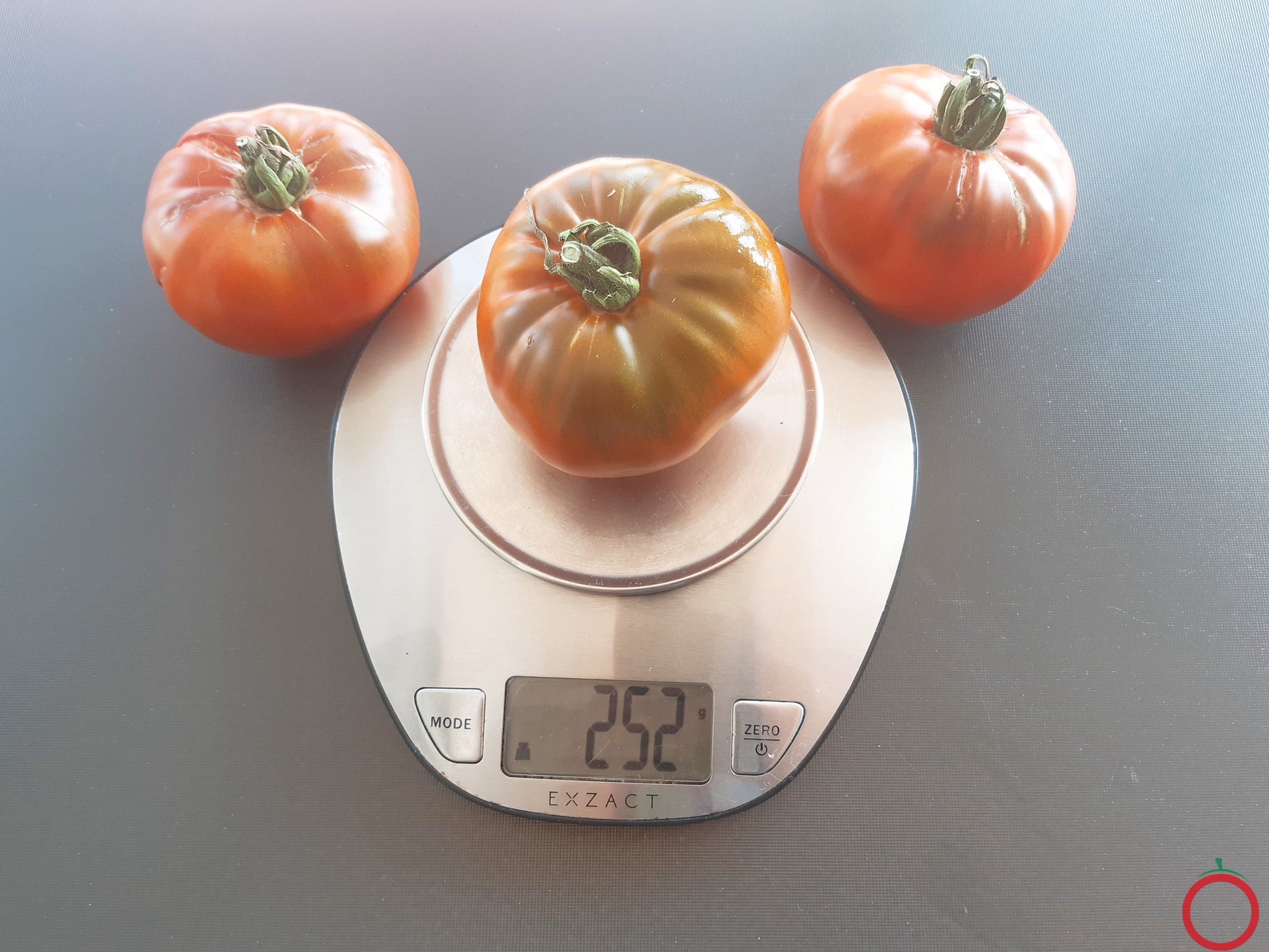 Elser Farm´s Brown Derby DER TOMATENFLÜSTERER