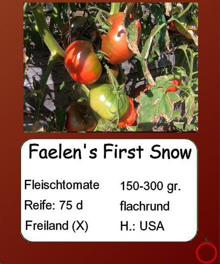 Faelen´s First Snow DER TOMATENFLÜSTERER