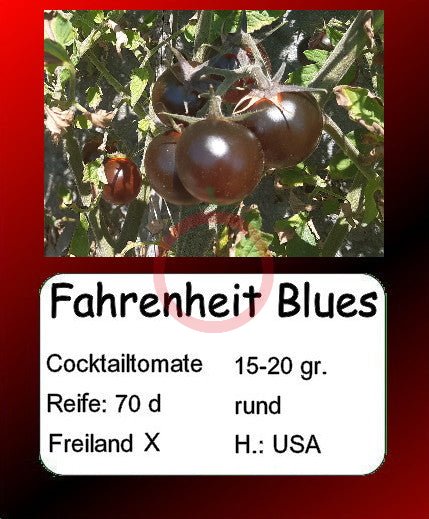 Fahrenheit Blues DER TOMATENFLÜSTERER