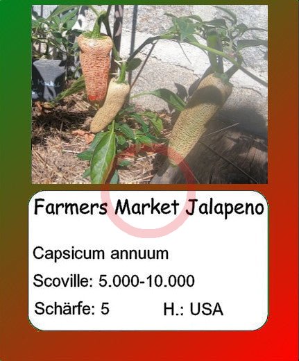 Farmers Market Jalapeno DER TOMATENFLÜSTERER