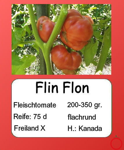 Flin Flon DER TOMATENFLÜSTERER