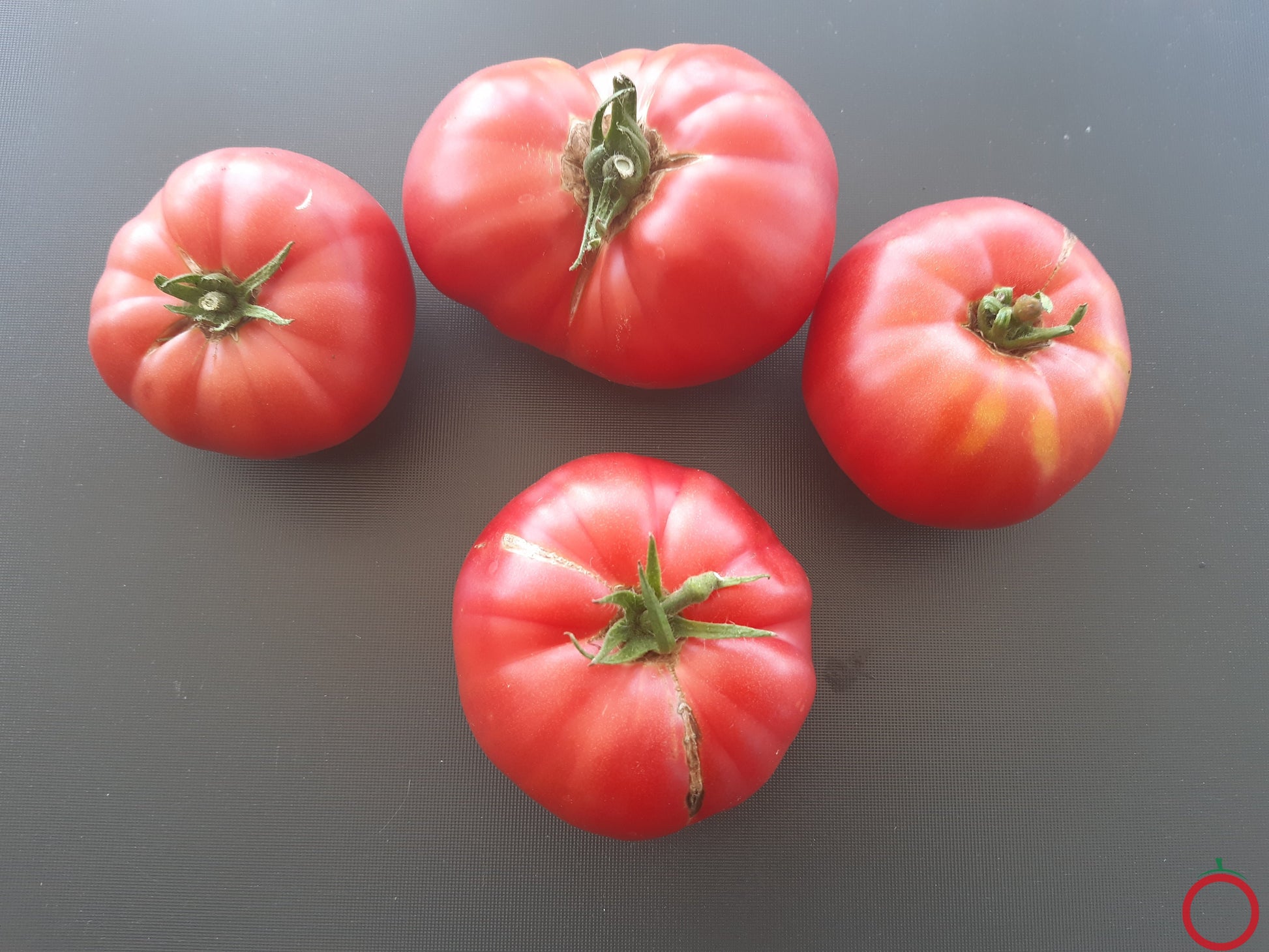 Flin Flon DER TOMATENFLÜSTERER