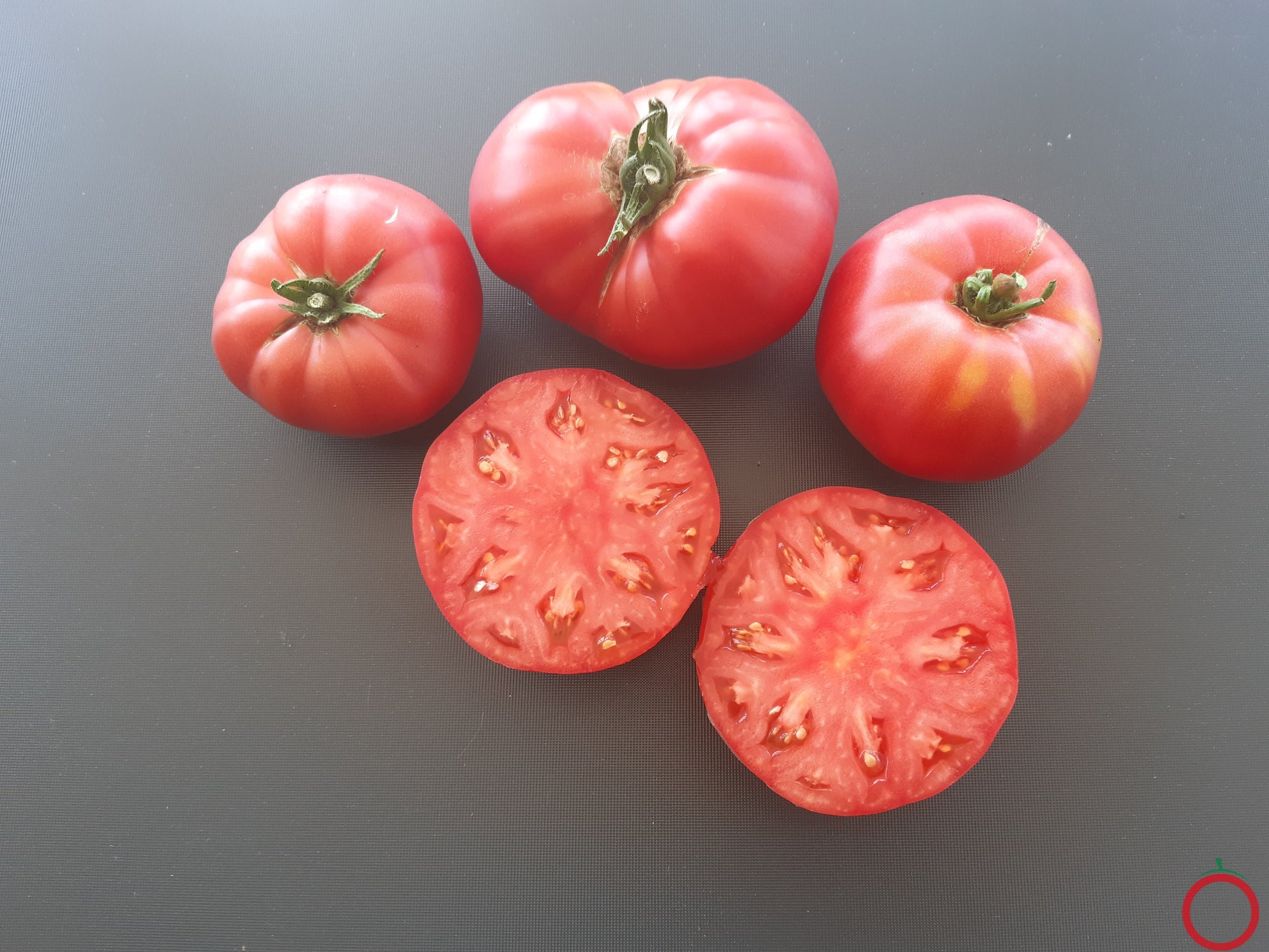 Flin Flon DER TOMATENFLÜSTERER