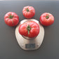 Flin Flon DER TOMATENFLÜSTERER