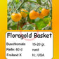 Floragold Basket DER TOMATENFLÜSTERER