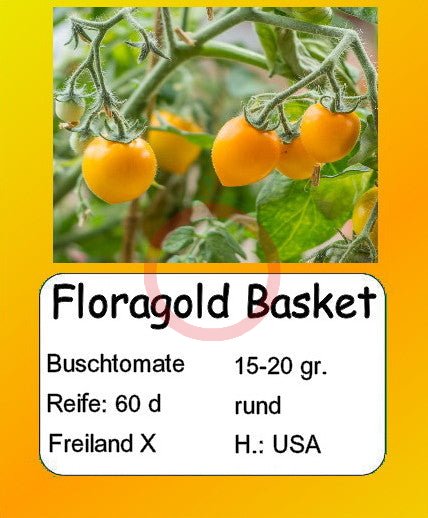 Floragold Basket DER TOMATENFLÜSTERER