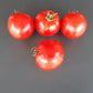 Frau Gruber Groß DER TOMATENFLÜSTERER