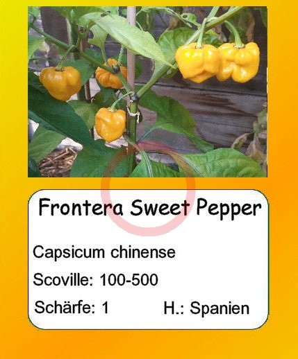 Frontera Sweet Pepper DER TOMATENFLÜSTERER