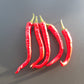Fushimi DER TOMATENFLÜSTERER