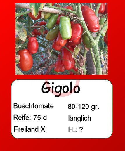 Gigolo DER TOMATENFLÜSTERER