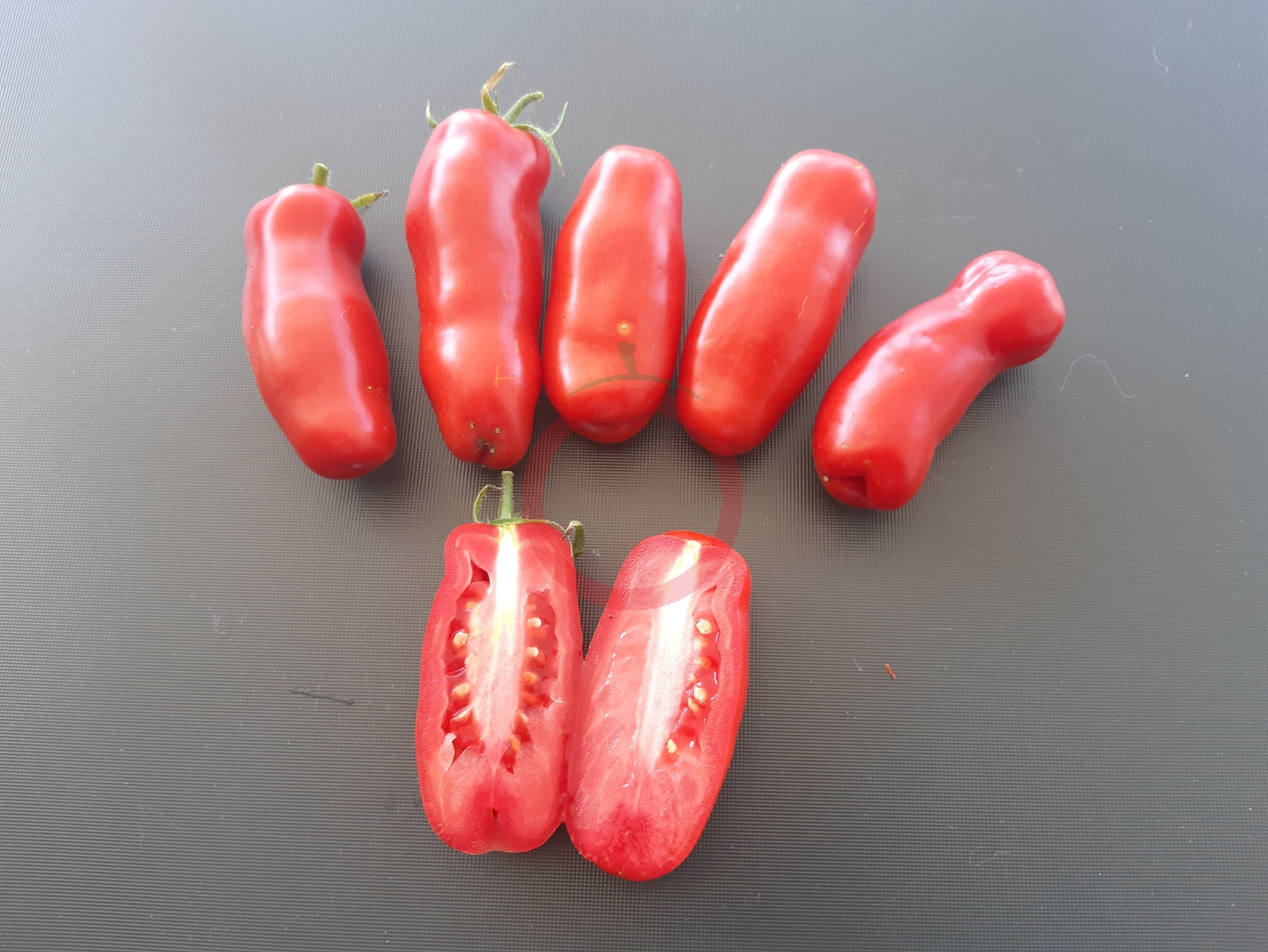 Gigolo DER TOMATENFLÜSTERER