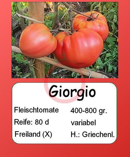 Giorgio DER TOMATENFLÜSTERER