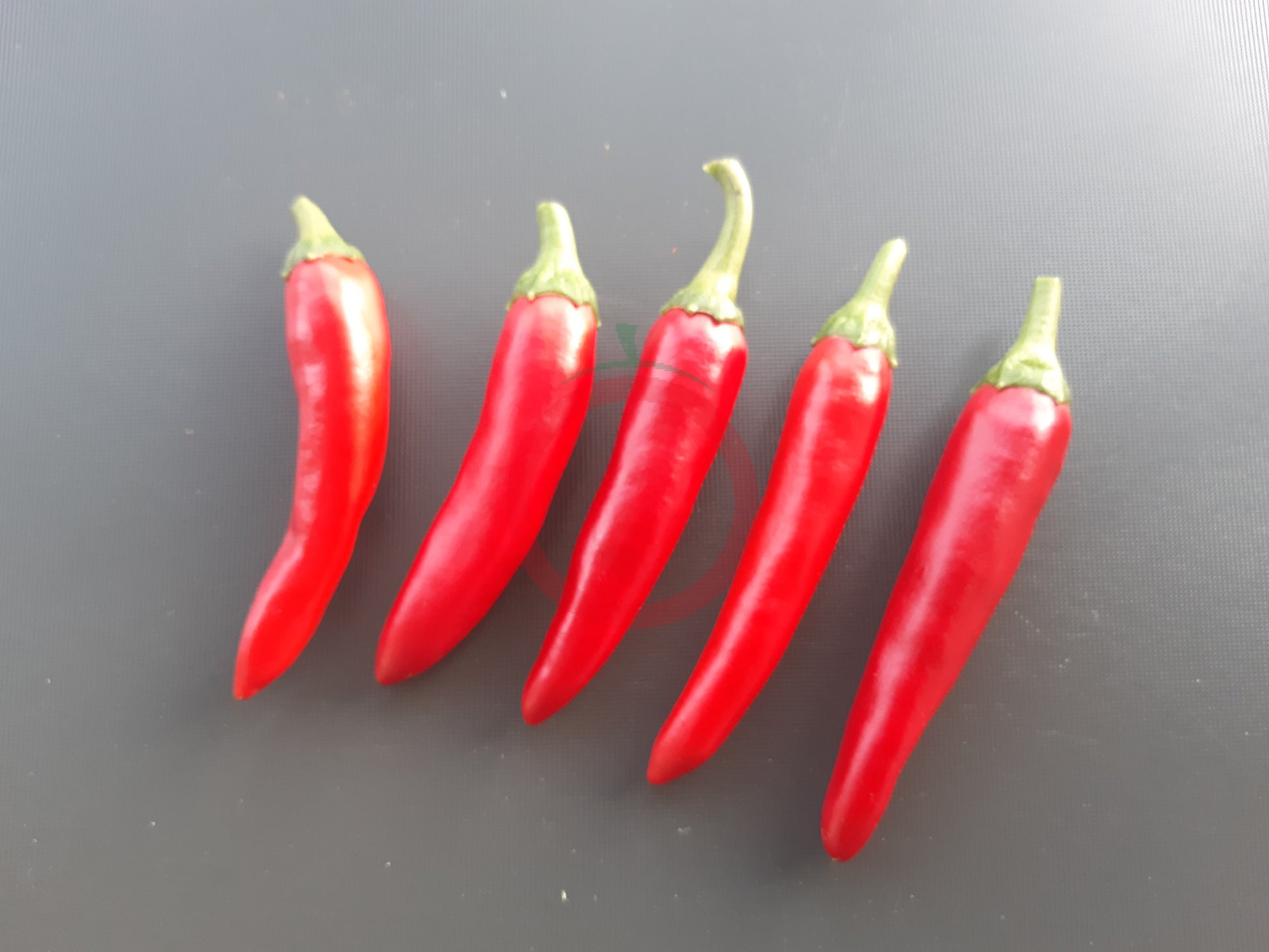 Gochugaru DER TOMATENFLÜSTERER