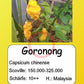 Goronong DER TOMATENFLÜSTERER