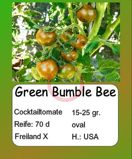 Green Bumble Bee DER TOMATENFLÜSTERER