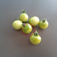 Green Doctors Frosted DER TOMATENFLÜSTERER