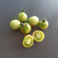 Green Doctors Frosted DER TOMATENFLÜSTERER