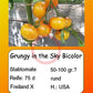 Grungy in the Sky Bicolor DER TOMATENFLÜSTERER