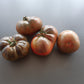 Gunmetal Grey DER TOMATENFLÜSTERER