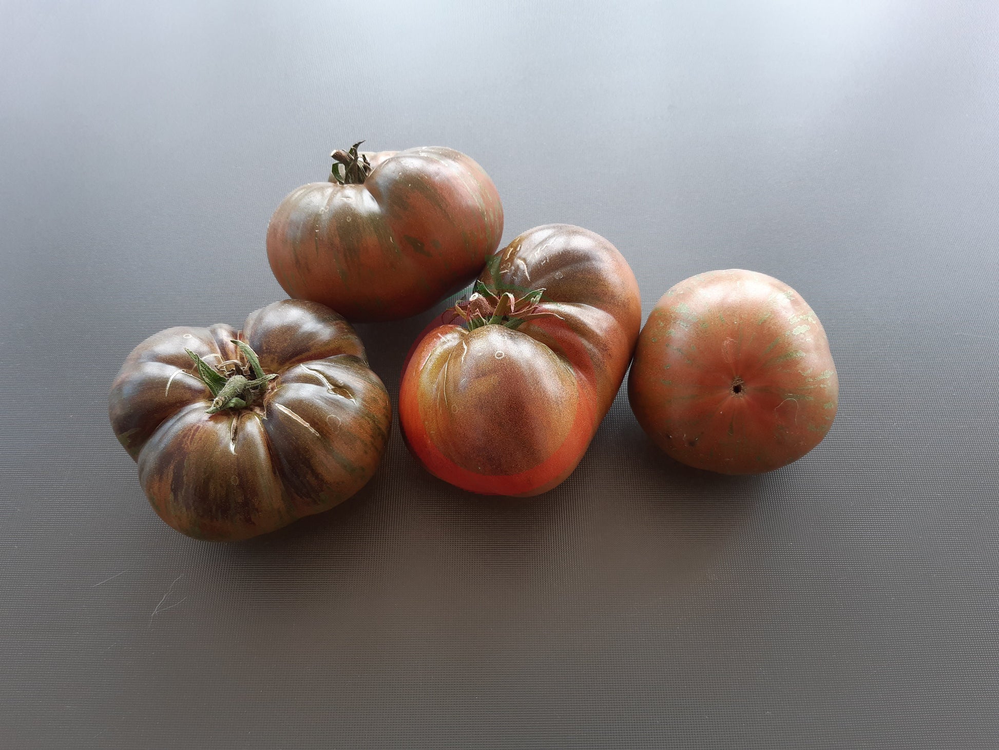 Gunmetal Grey DER TOMATENFLÜSTERER