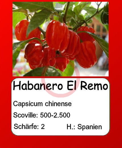 Habanero El Remo DER TOMATENFLÜSTERER