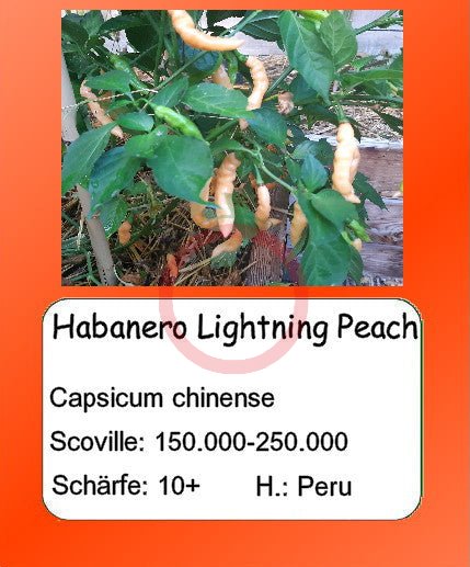 Habanero Lightning Peach DER TOMATENFLÜSTERER
