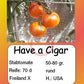 Have a Cigar DER TOMATENFLÜSTERER