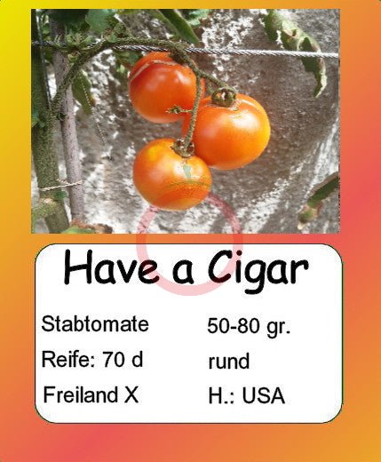 Have a Cigar DER TOMATENFLÜSTERER