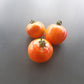 Have a Cigar DER TOMATENFLÜSTERER