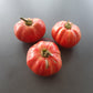 Hippie Zebra DER TOMATENFLÜSTERER