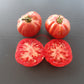 Hippie Zebra DER TOMATENFLÜSTERER