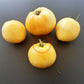 Hugh´s Lemon Oxheart DER TOMATENFLÜSTERER