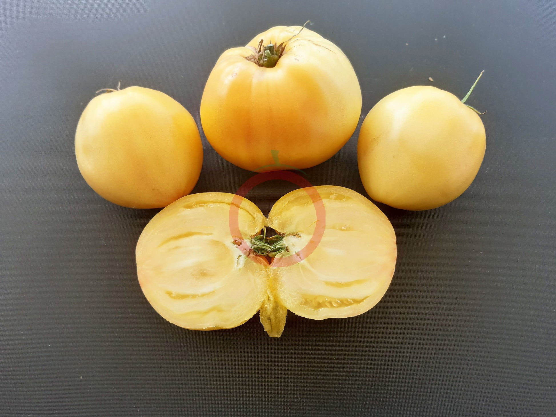 Hugh´s Lemon Oxheart DER TOMATENFLÜSTERER