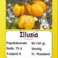 Illusia DER TOMATENFLÜSTERER