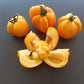Illusia DER TOMATENFLÜSTERER