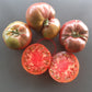 Indian Stripe DER TOMATENFLÜSTERER