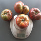 Indian Stripe DER TOMATENFLÜSTERER