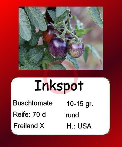 Inkspot DER TOMATENFLÜSTERER