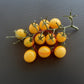 Iva´s Sweet White DER TOMATENFLÜSTERER