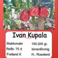 Ivan Kupala DER TOMATENFLÜSTERER
