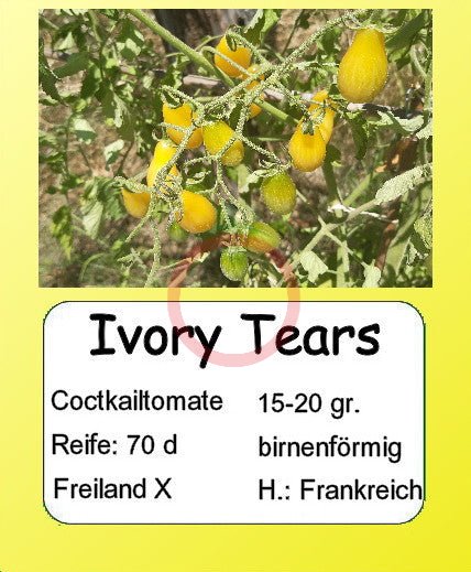 Ivory Tears DER TOMATENFLÜSTERER