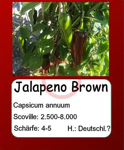 Jalapeno Brown DER TOMATENFLÜSTERER