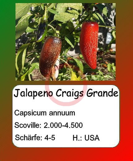 Jalapeno Craigs Grande DER TOMATENFLÜSTERER