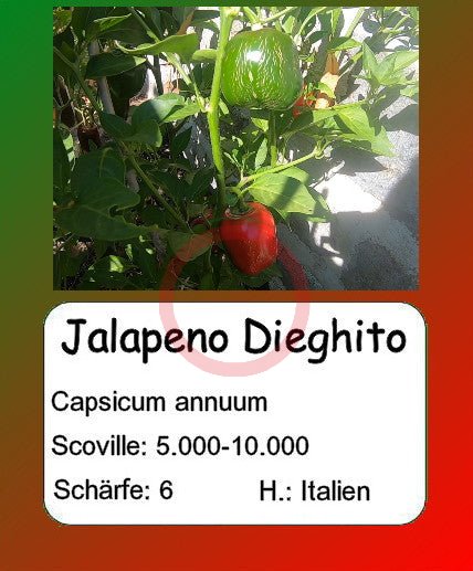 Jalapeno Dieghito DER TOMATENFLÜSTERER