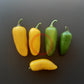 Jalapeno Numex Neon Yellow DER TOMATENFLÜSTERER