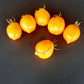 Jardin D´Agrumes DER TOMATENFLÜSTERER