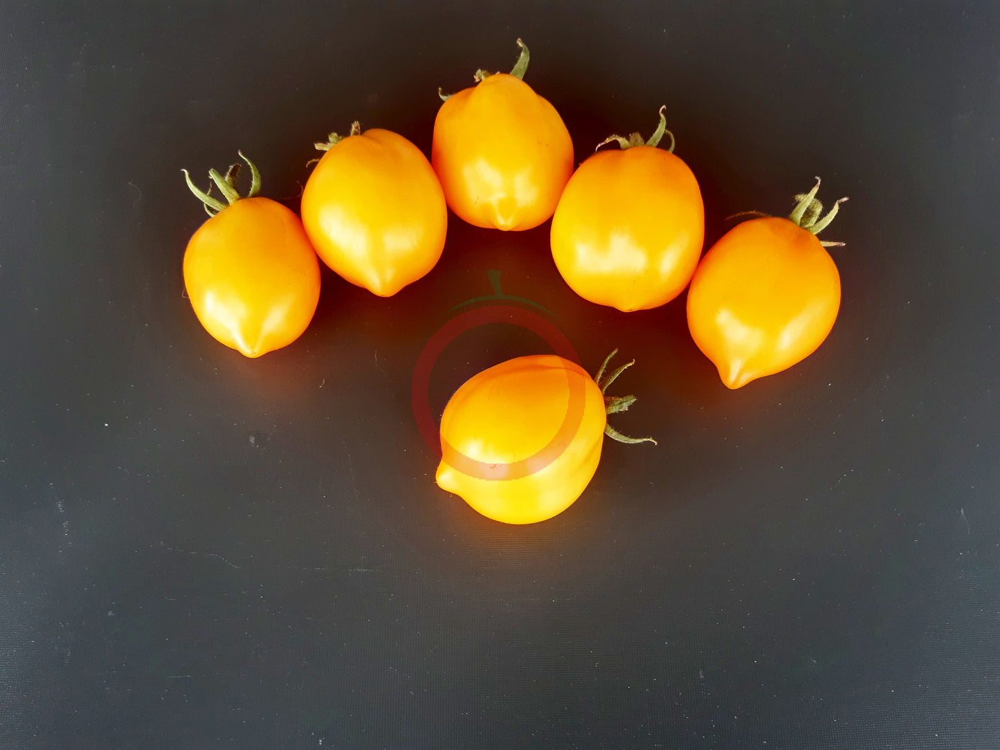 Jardin D´Agrumes DER TOMATENFLÜSTERER