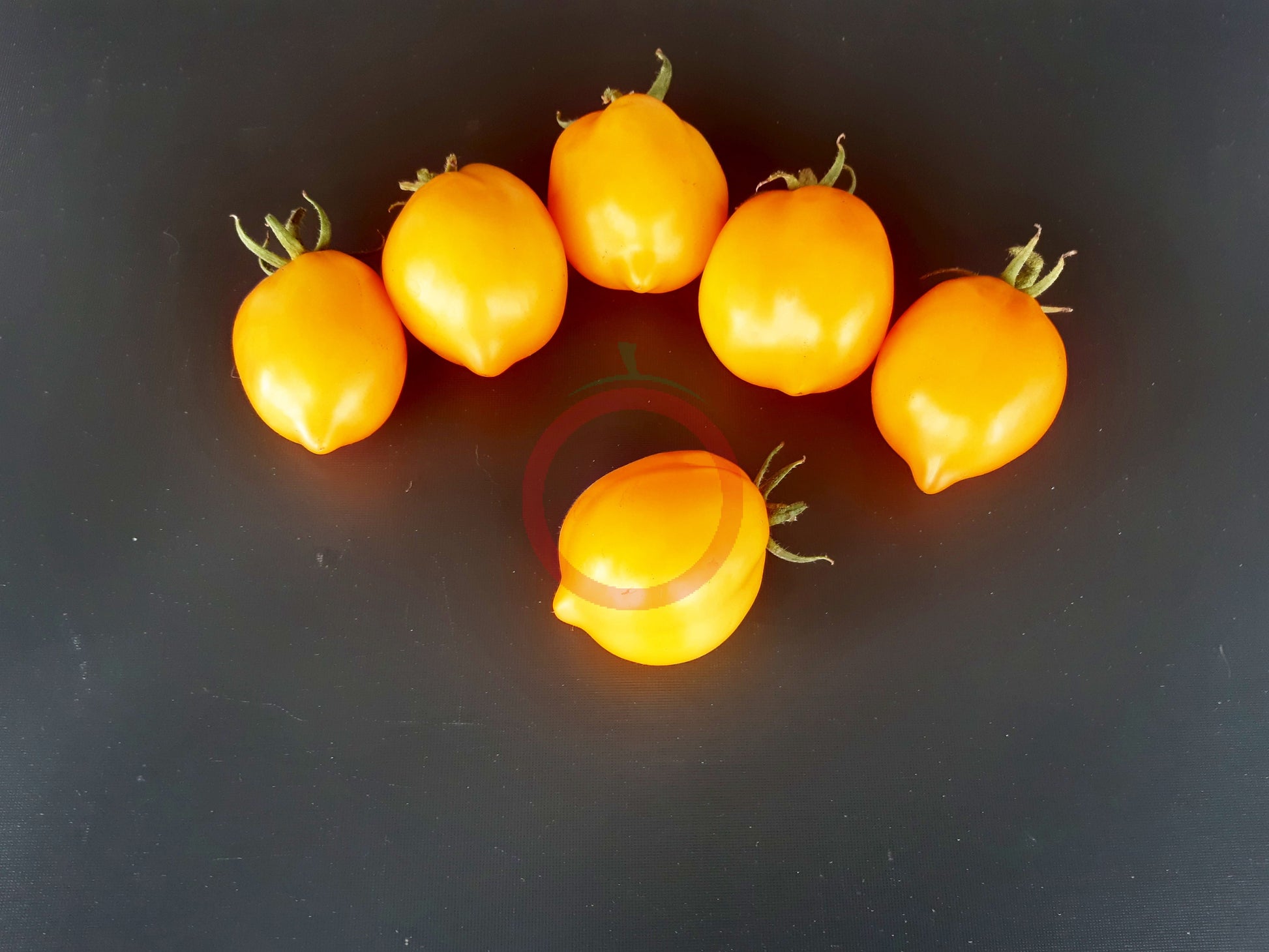 Jardin D´Agrumes DER TOMATENFLÜSTERER